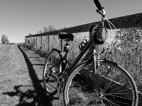 52145CrLeShBw - Biking the waterfront Trail with Beth, toward Cranberry Marsh.jpg